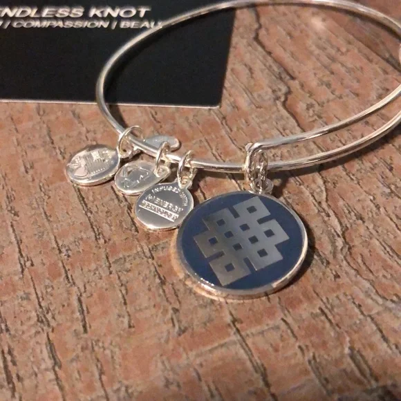 Alex And Ani Charm Bracelet - Endless Knot - Picture 3 of 5